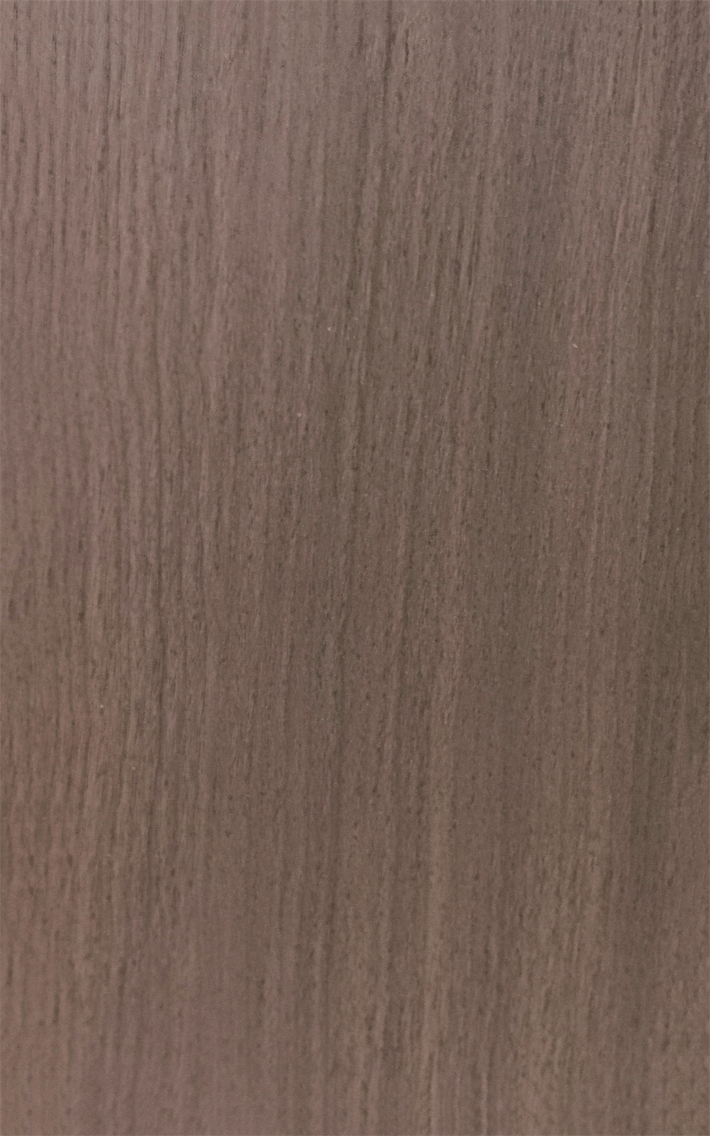 /product/p1/2024-12-04/160.html
